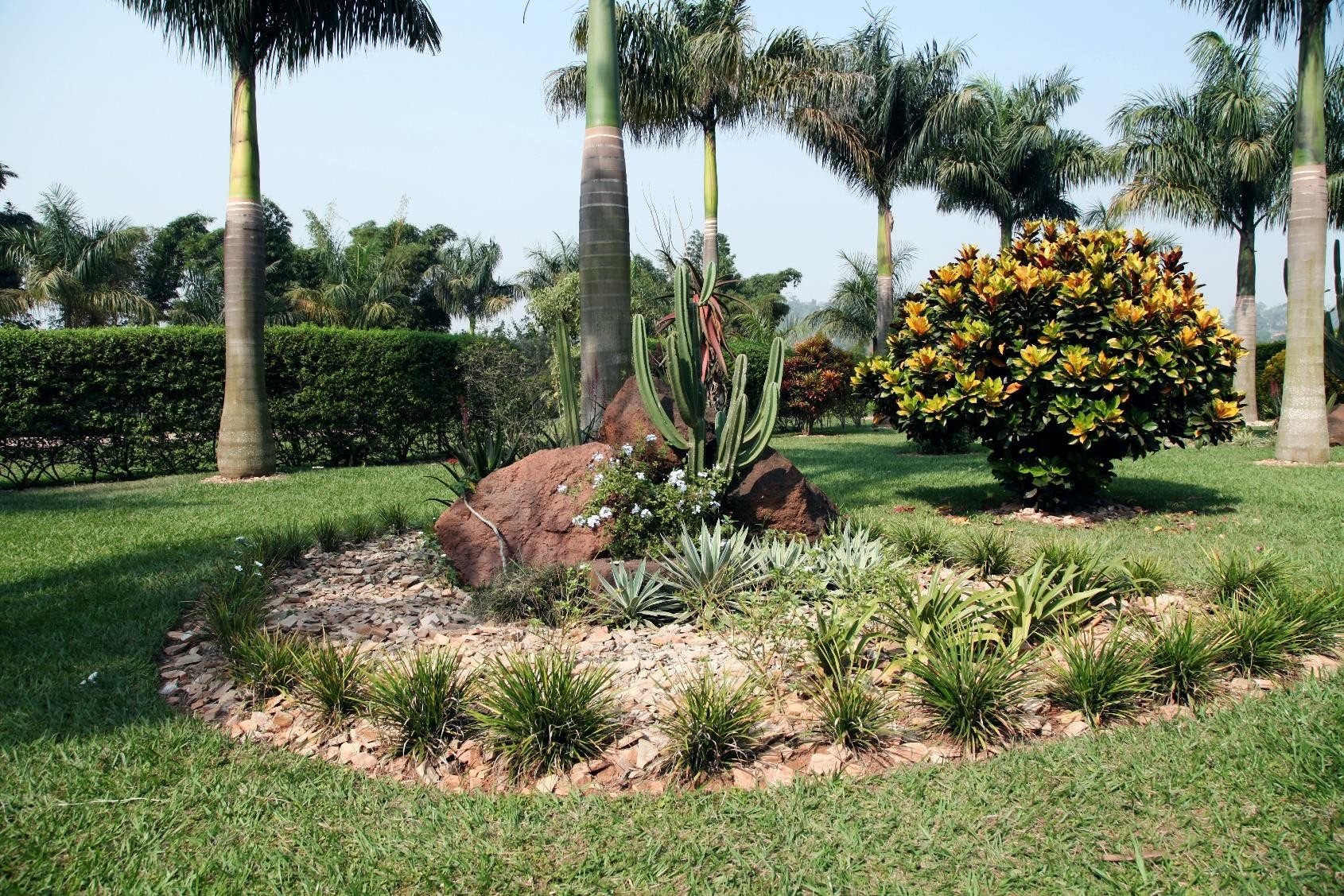 Hotel gardens with palms and an aloe bed