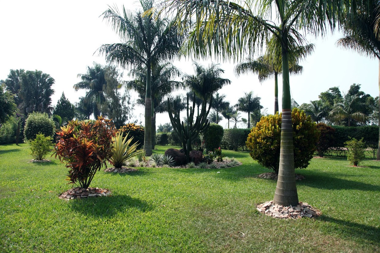 Palm Gardens Wedding Venue — Airport View Hotel