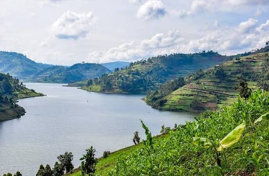 Botanical Gardens Guide — Airport View Hotel Entebbe